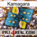 Kamagara cialis5
